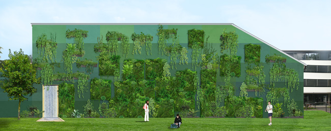 {vertical garden}, Entwurf für eine Feuermauer, Wohnbauprojekt Engelgasse - Graz, 2010